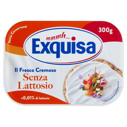 Immagine di EXQUISA FORM. SPALMAB. S/L  GR.300