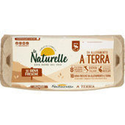 Immagine di LE NATURELLE UOVA M  ALL.TERRA X10