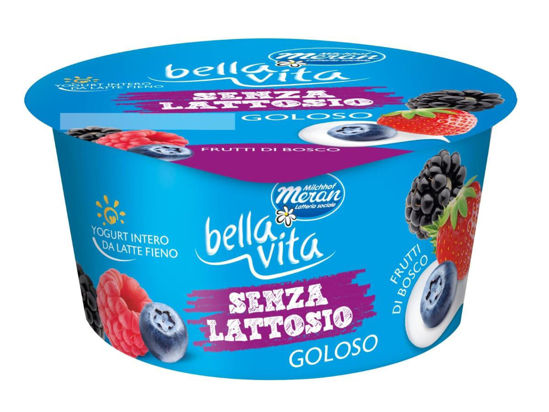 Immagine di BELLA VITA YOG. S/L FR. BOSCO GR.150