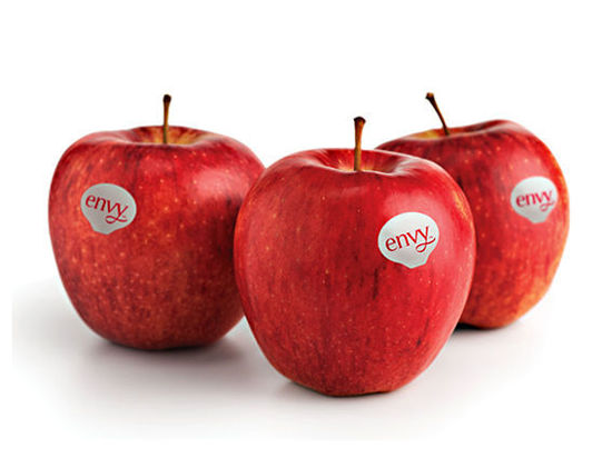 Immagine di MELA ENVY