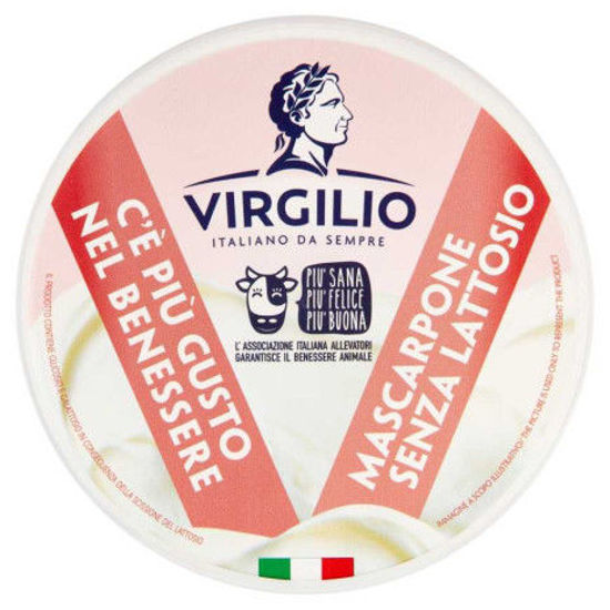 Immagine di VIRGILIO MASCARPONE S/LATTOSIO  G.250