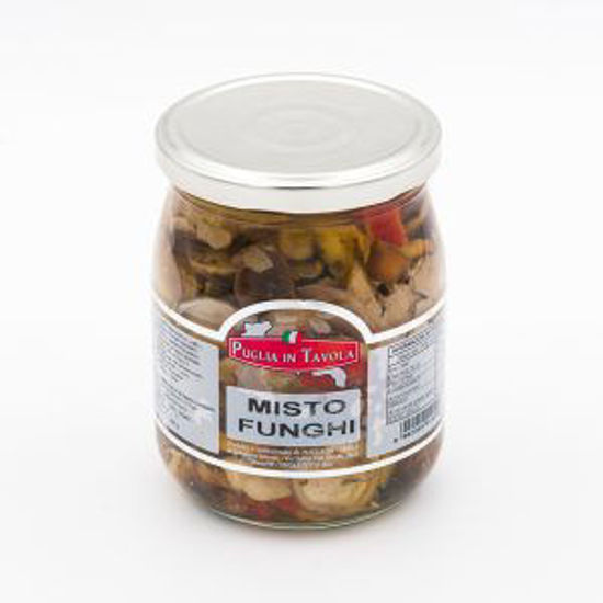 Immagine di PUGLIA IN TAVOLA  MISTO FUNGHI OLIO GR.300