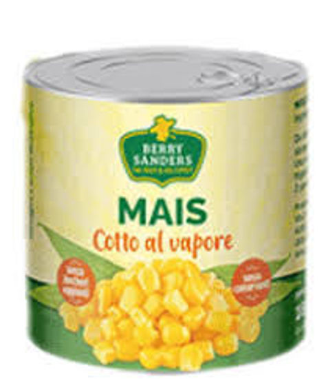 Immagine di BERRY SENDERS MAIS G.310