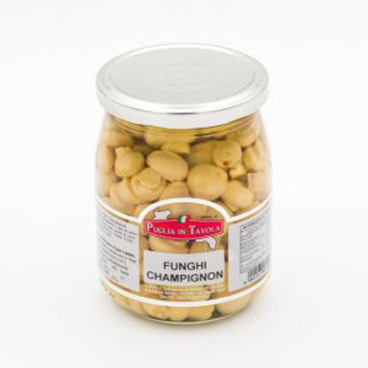 Immagine di PUGLIA IN TAVOLA FUNGHI CHAM. INT.GR.290