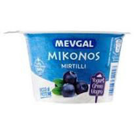 Immagine di MEVGAL YOG. GRECO MIRTILLI GR.150