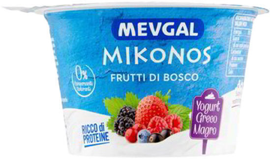 Immagine di MEVGAL YOG. GRECO FRUTTI DI BOSCO GR.150