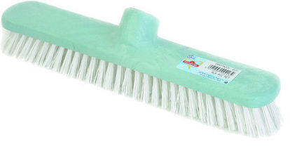 Immagine di MINERVA FRATTAZZO ECO