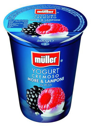 Immagine di MULLER YOGURT MORE/LAMP.  GR.500