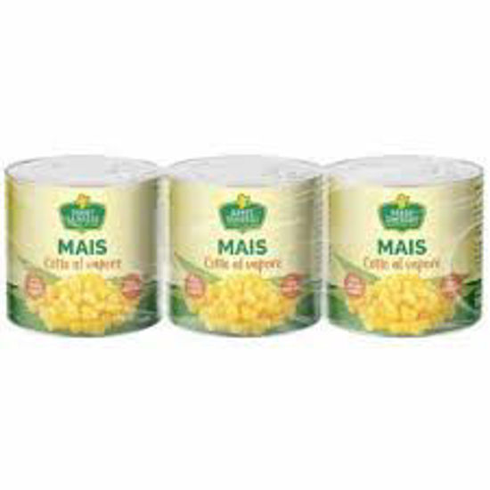 Immagine di BERRY SENDERS MAIS G.160X3