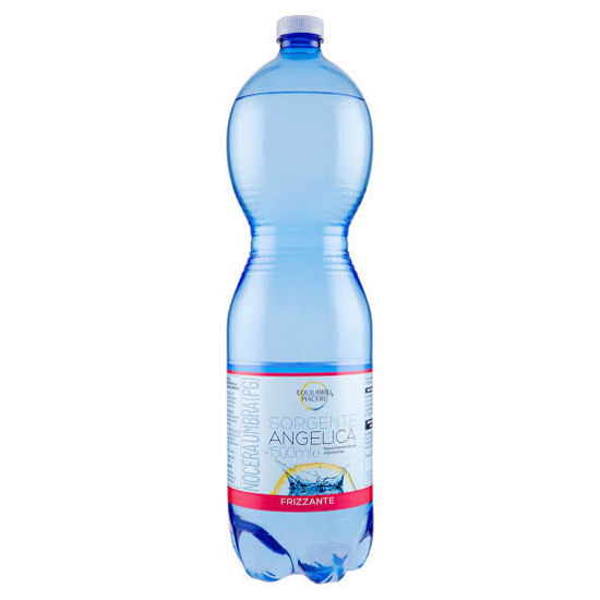 Immagine di EQUILIBRIO E PIACERE ACQUA MINERALE FRIZZANTE ML.1.5