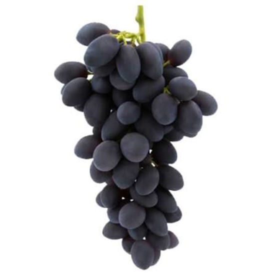 Immagine di UVA NERA SENZA SEMI