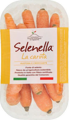 Immagine di CAROTA SELENIO GR.600