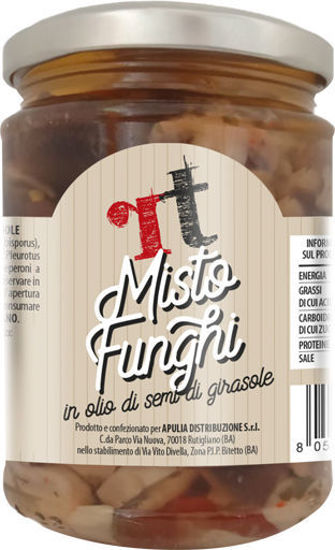 Immagine di RT MISTO FUNGHI IN OLIO G.290