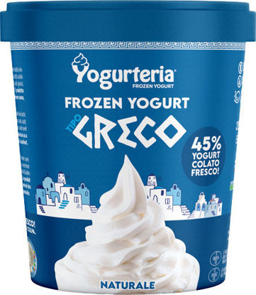 Immagine di YOGURTERIA GELATO YOG. GRECO GR.500