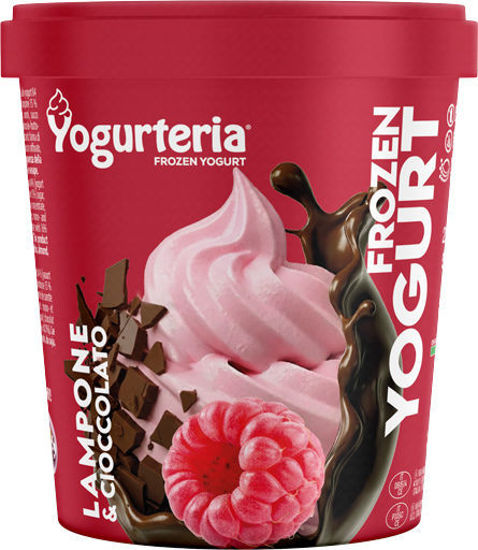 Immagine di YOGURTERIA GELATO YOG/LAM/FOND GR.500